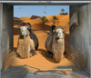 garage poster motif DESERT CAMELS