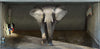 garage poster motif MOVING ELEPHANT